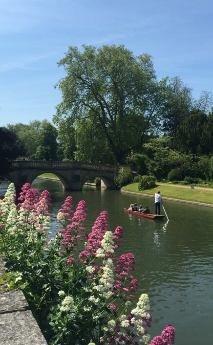 View-from-River-Terrace-summer